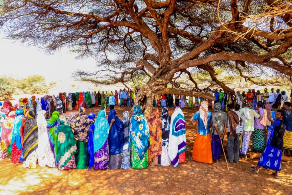 A community-wide validation meeting (Shir Guud) brought together elders, religious leaders, and community representatives to review and confirm findings from the community assessment, including livelihoods, challenges, and climate-related risks.