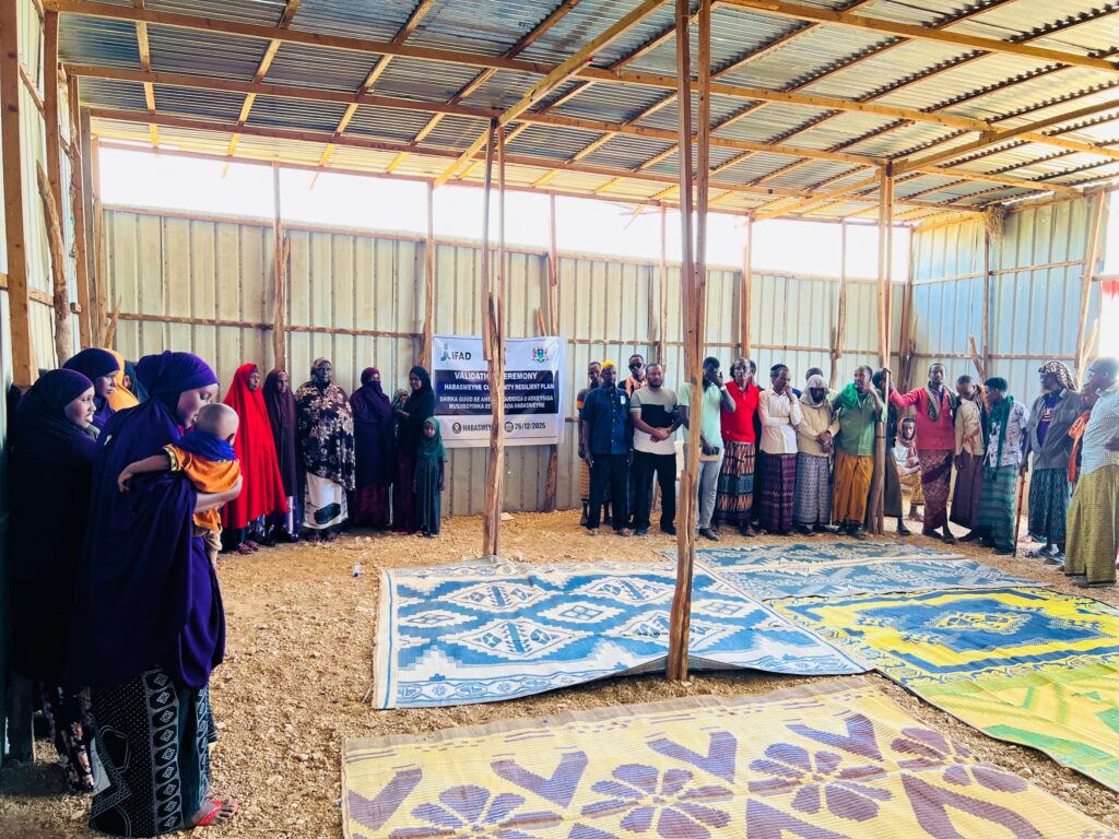 Community mobilization meeting in Beledweyne held in late December 2025, marking the entry point for the Community Resilience Planning (CRP) process under the A2R2 project.