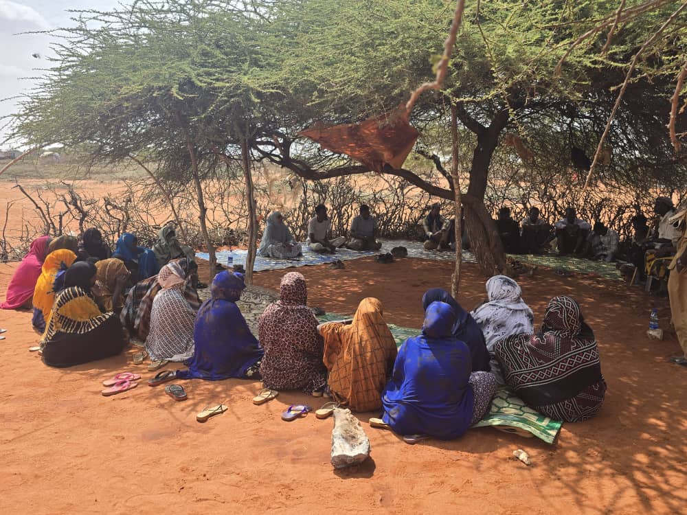 community mobilzation