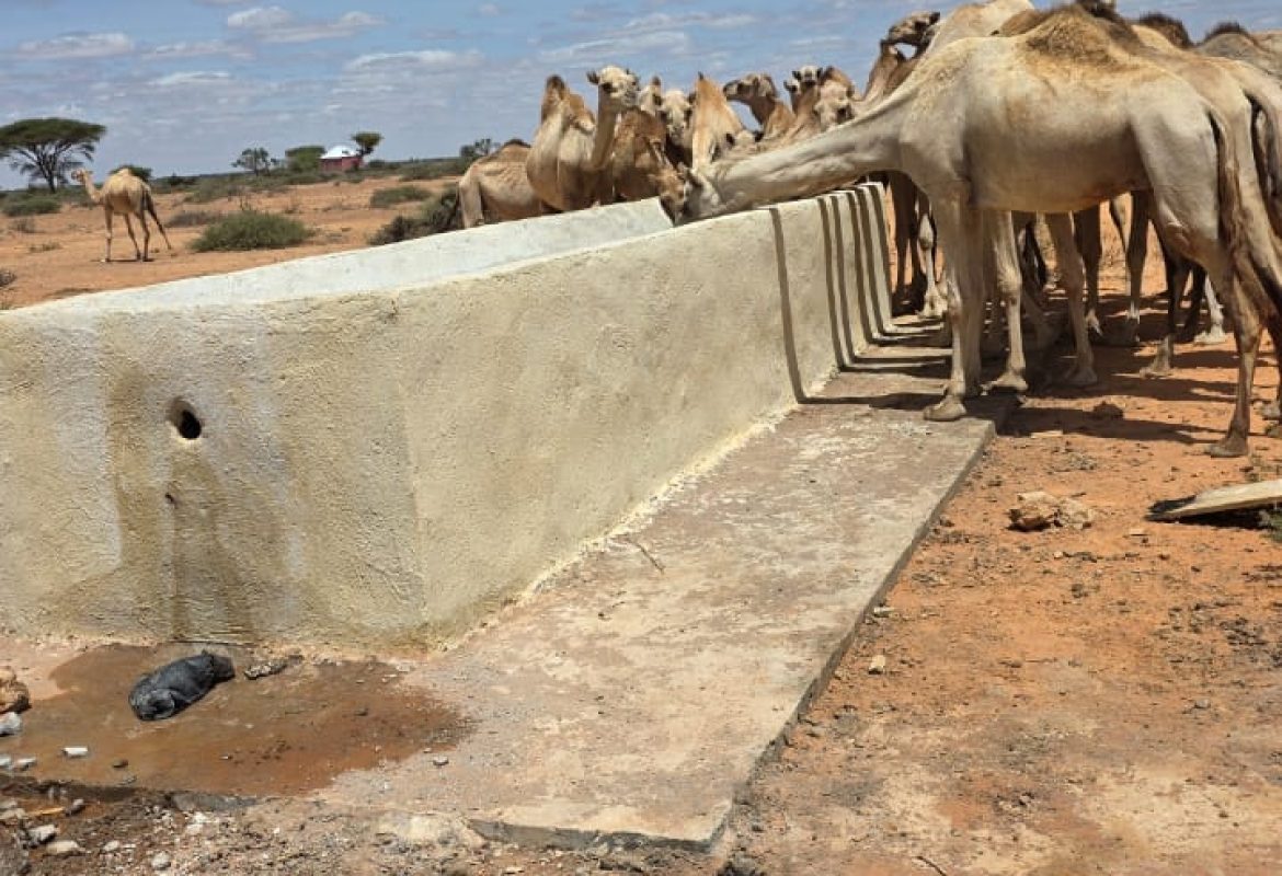 Ina qaboobe Livestock watering point